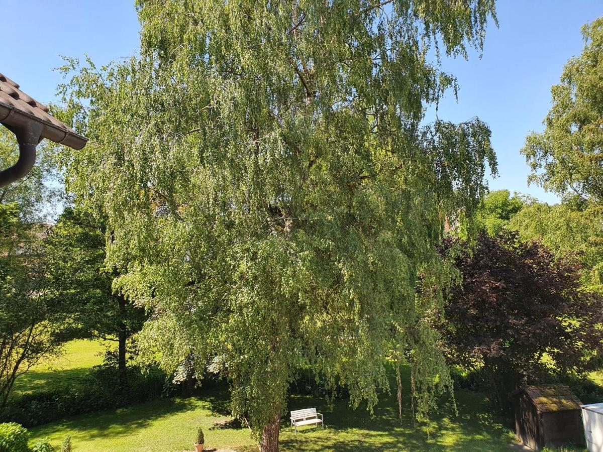 Schoenenberger Hof Orsingen-Nenzingen Екстериор снимка